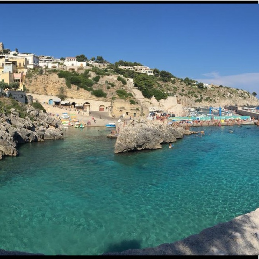 Meet your Posher, Barron